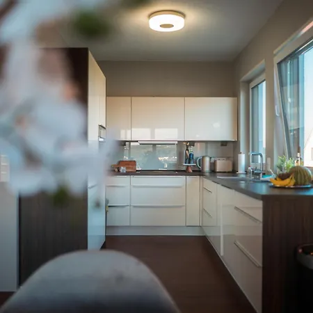 Penthouse Mit Schoenem Moselblick In Metternich * Coblenza