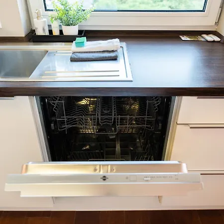Penthouse Mit Schoenem Moselblick In Metternich Appartamento