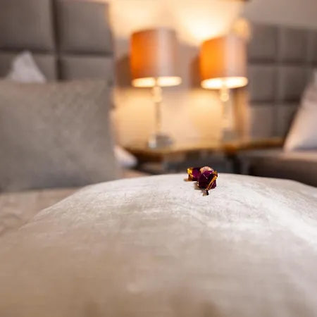 Penthouse Mit Schoenem Moselblick In Metternich *