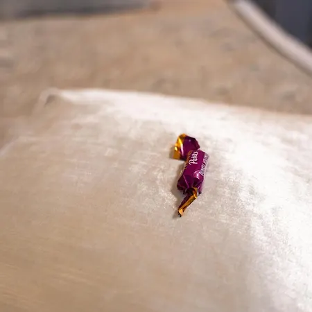 Penthouse Mit Schoenem Moselblick In Metternich Coblenza